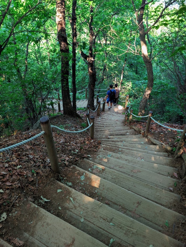 청계산과 무한계단의 고통8.jpg