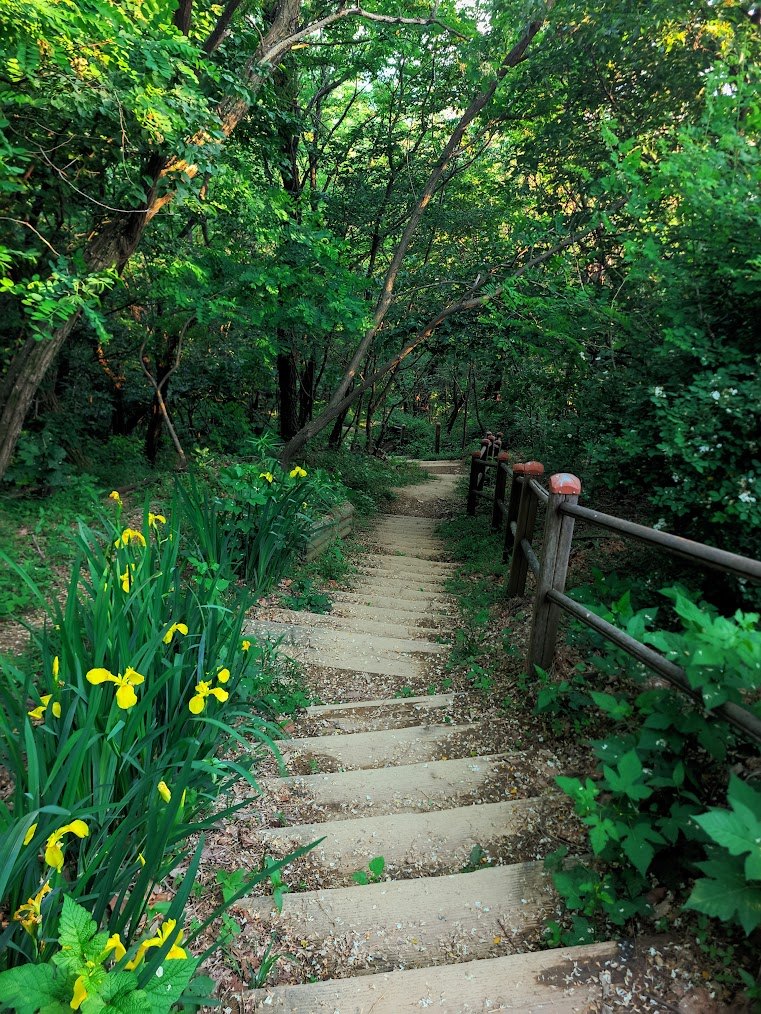 호암산의 가성비와 준비되지 않은 등산의 위험성1.jpg