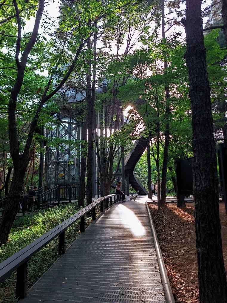 불암산 청암능선의 맑은 초여름10.jpg