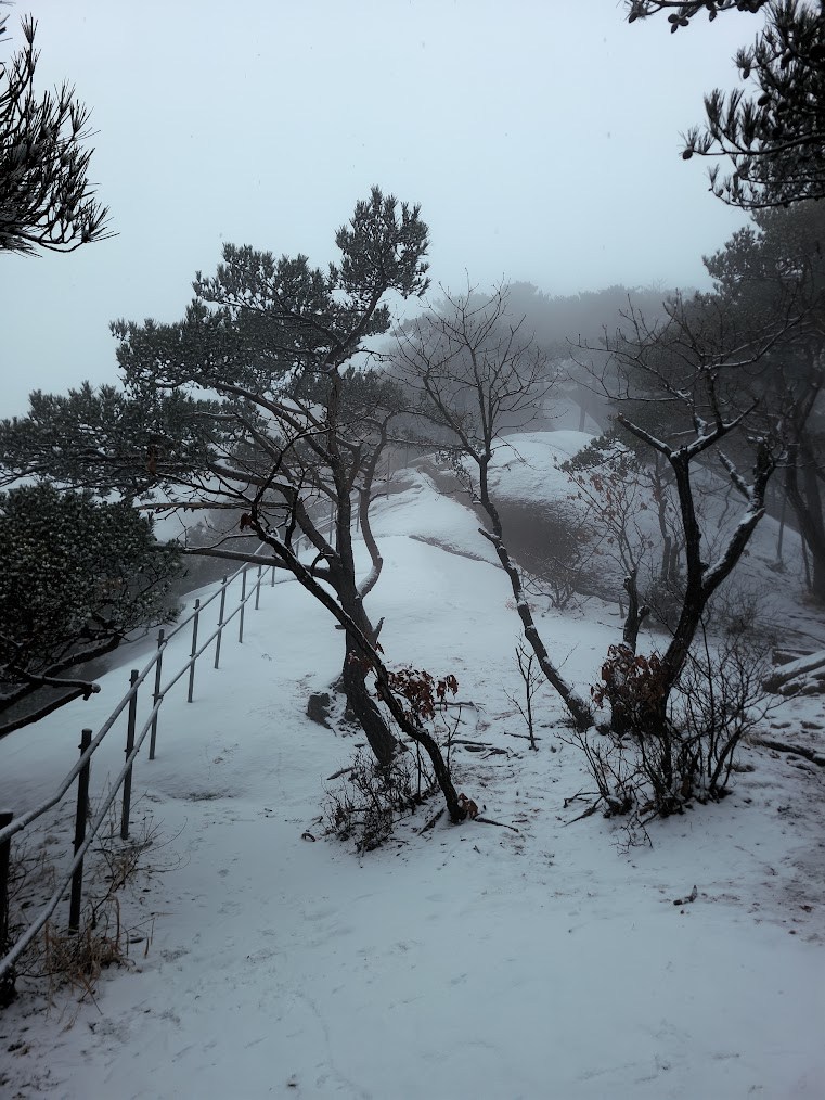 눈 덮인 사패산2-1.jpg