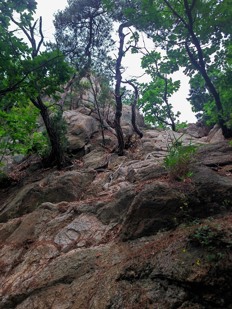 불곡산의 두 가지 맛과 송림 등산화2-0.jpg