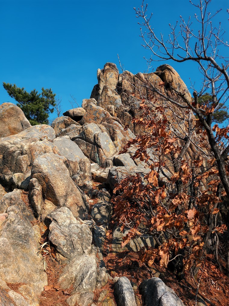 삼성산의 소박하지만2-2.jpg