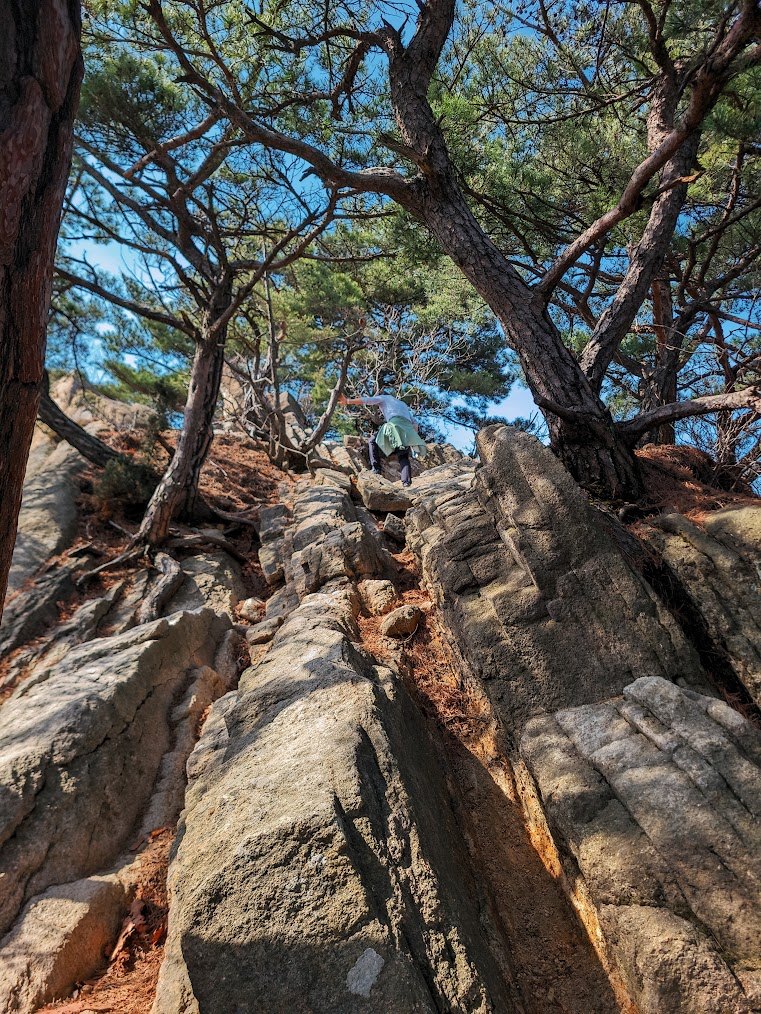 북한산 칼바위 능선의 날카로운 바위들3.jpg