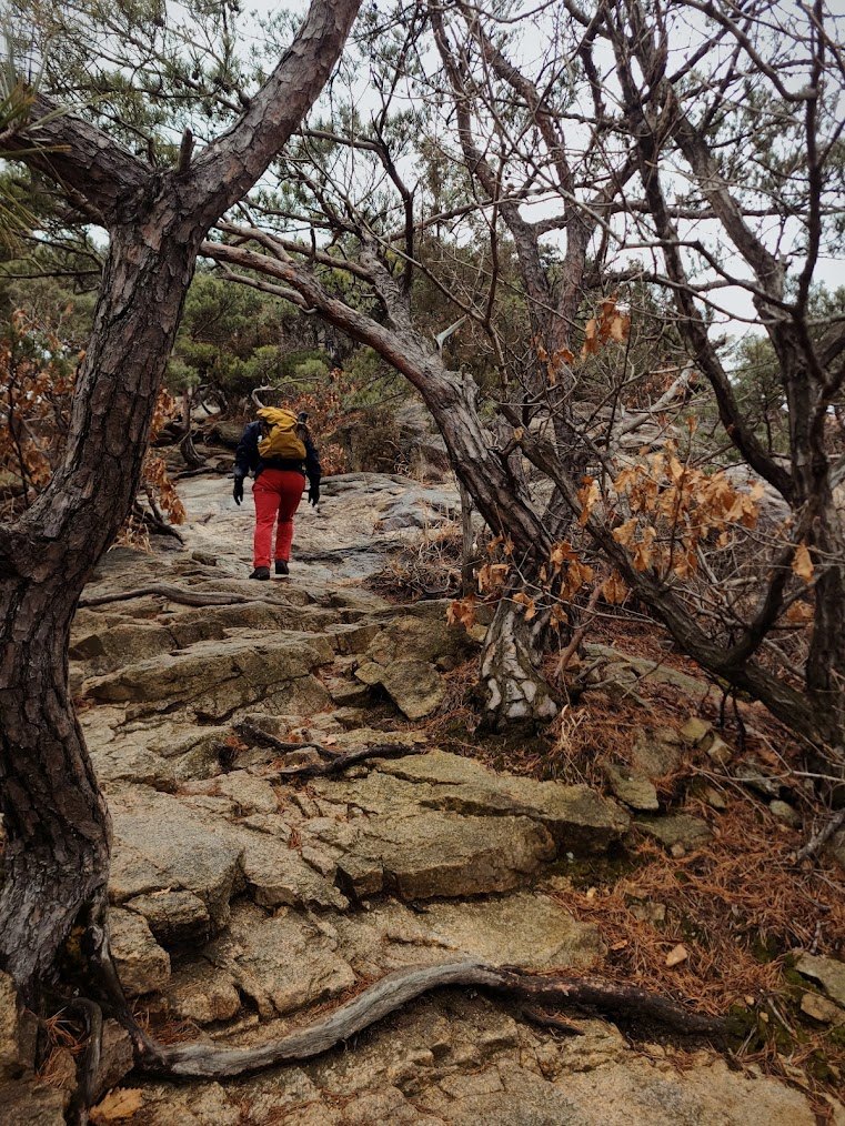끝없이 걷고 싶은 북한산 2-1.jpg
