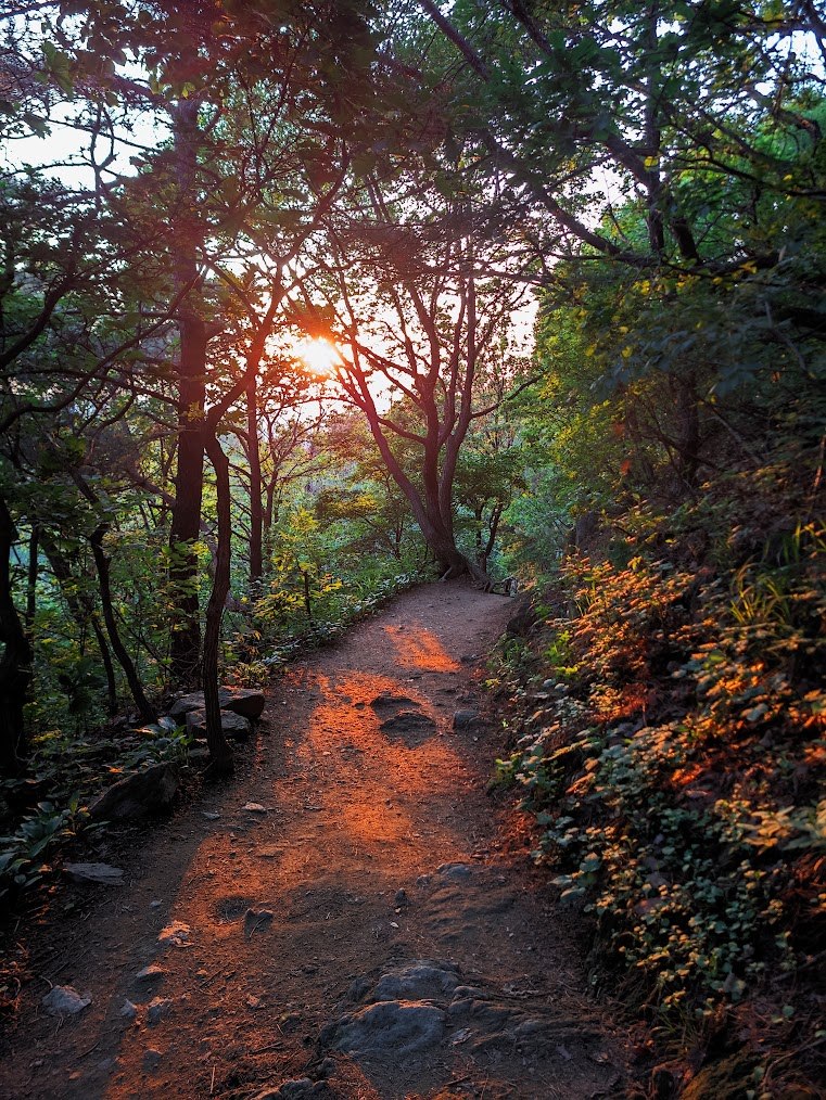 호암산의 가성비와 준비되지 않은 등산의 위험성3.jpg
