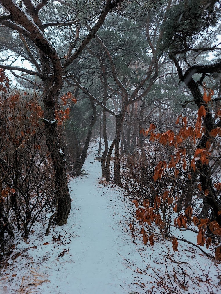 눈덮인 사패산과 비밀의 길1-1.jpg
