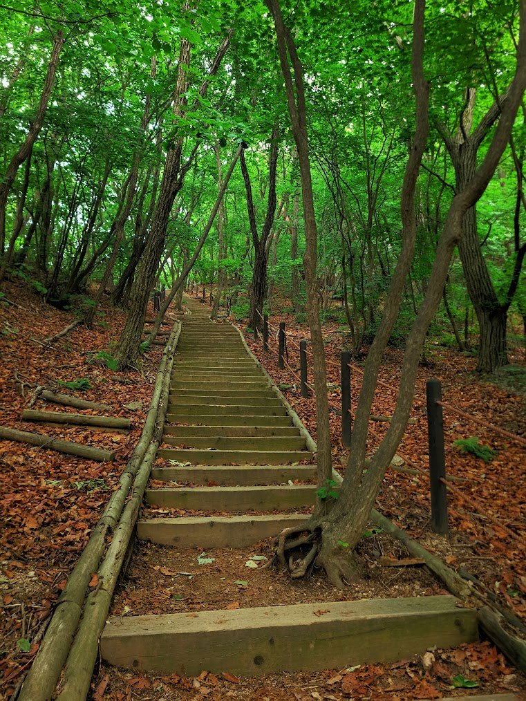 사패산 도봉산 연계산행의 지독한 맛 2-2.jpg
