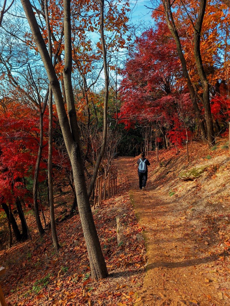한양도성 순성길 색채 가득한 종주 1-6.jpg