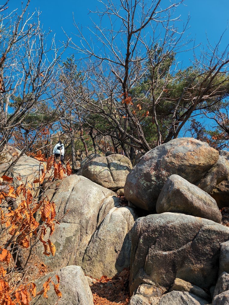 삼성산의 소박하지만 1-1.jpg