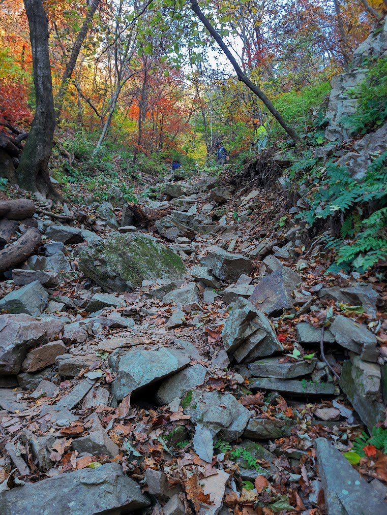 왜 등산화를 신어야 되냐고요삽화1.jpg