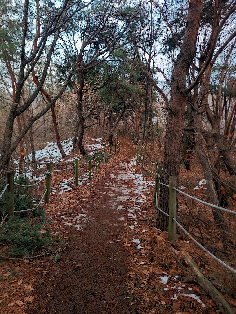 남한산성으로 가는 길고 벅찬 길 1-4.jpg