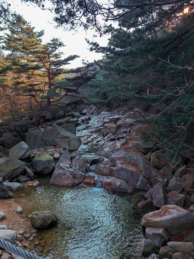 삼성산의 소박하지만2-7.jpg