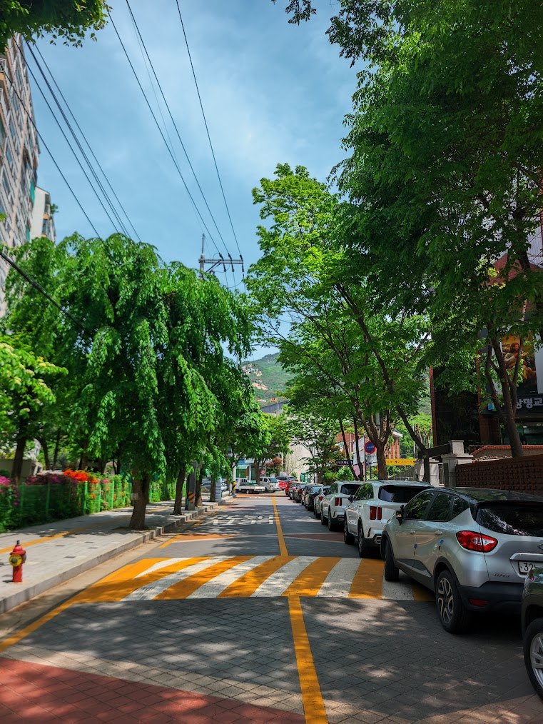 불암산 청암능선의 맑은 초여름1.jpg