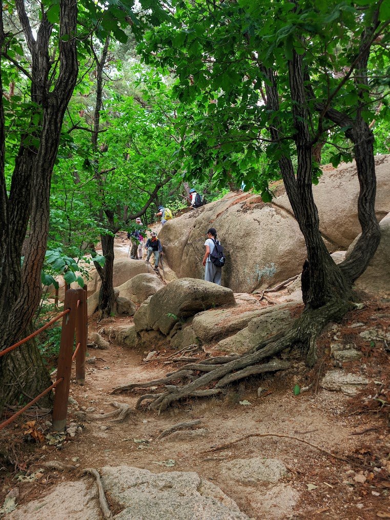 사패산 도봉산 연계산행의 지독한 맛1-4.jpg