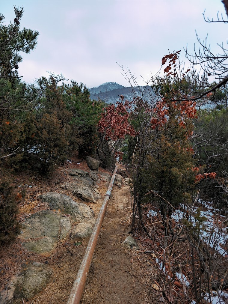 관악산 파이프 능선의 암릉천국 2-1.jpg