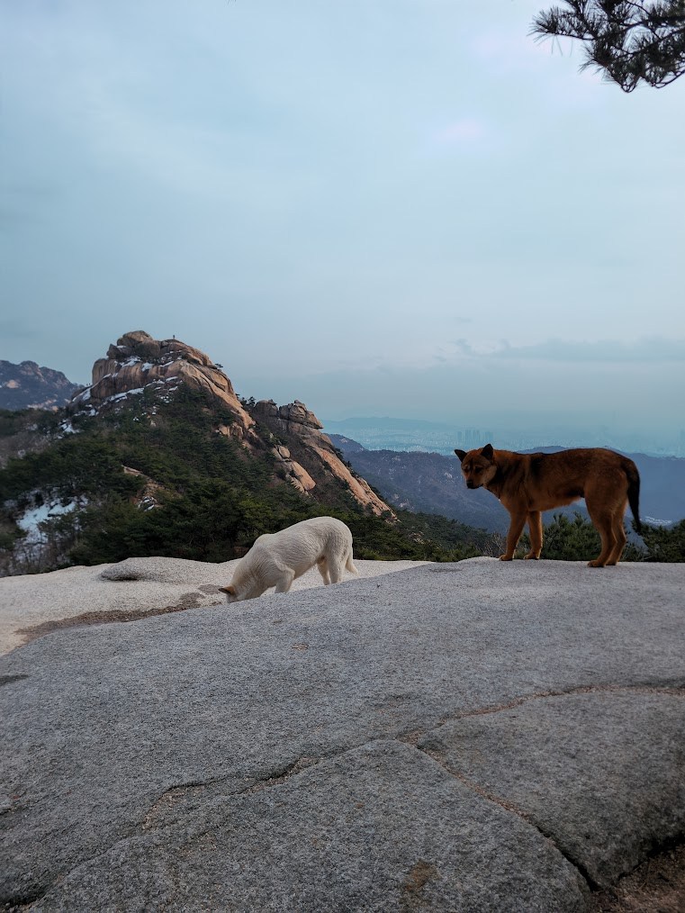 북한산 비봉능선 2-4.jpg