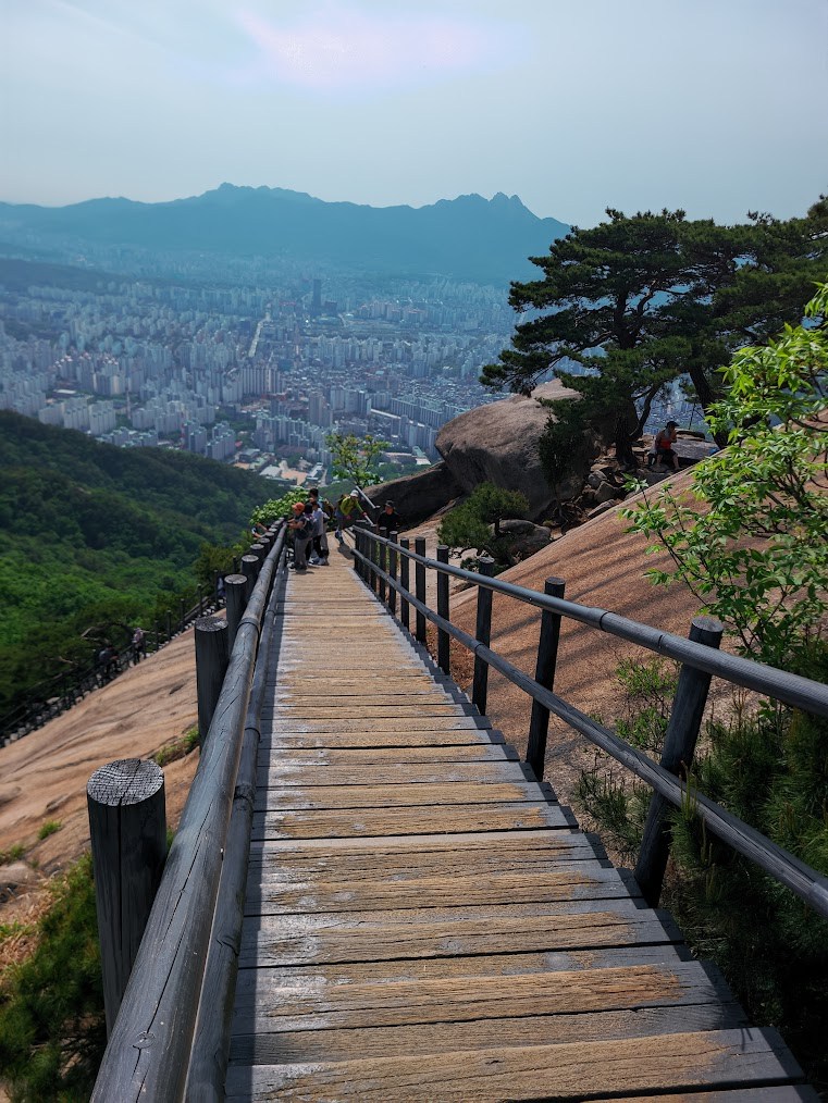 불암산 청암능선의 맑은 초여름8.jpg