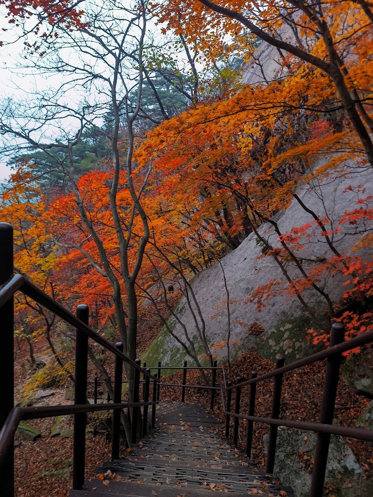 도봉산 만월암의 단풍계단 3-3.jpg
