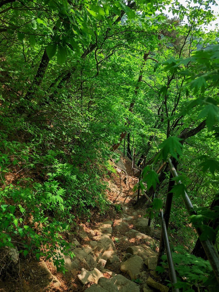 도봉산 다락능선과 가혹한 암릉세상2-2.jpg
