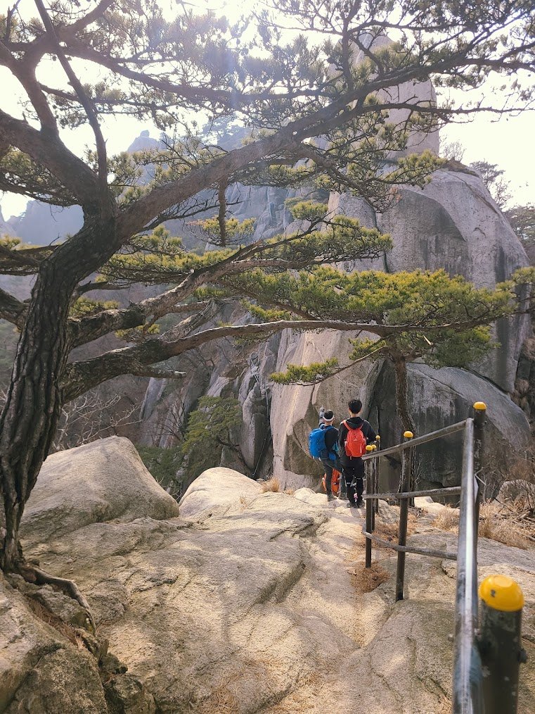 도봉산 y계곡 2-1.jpg