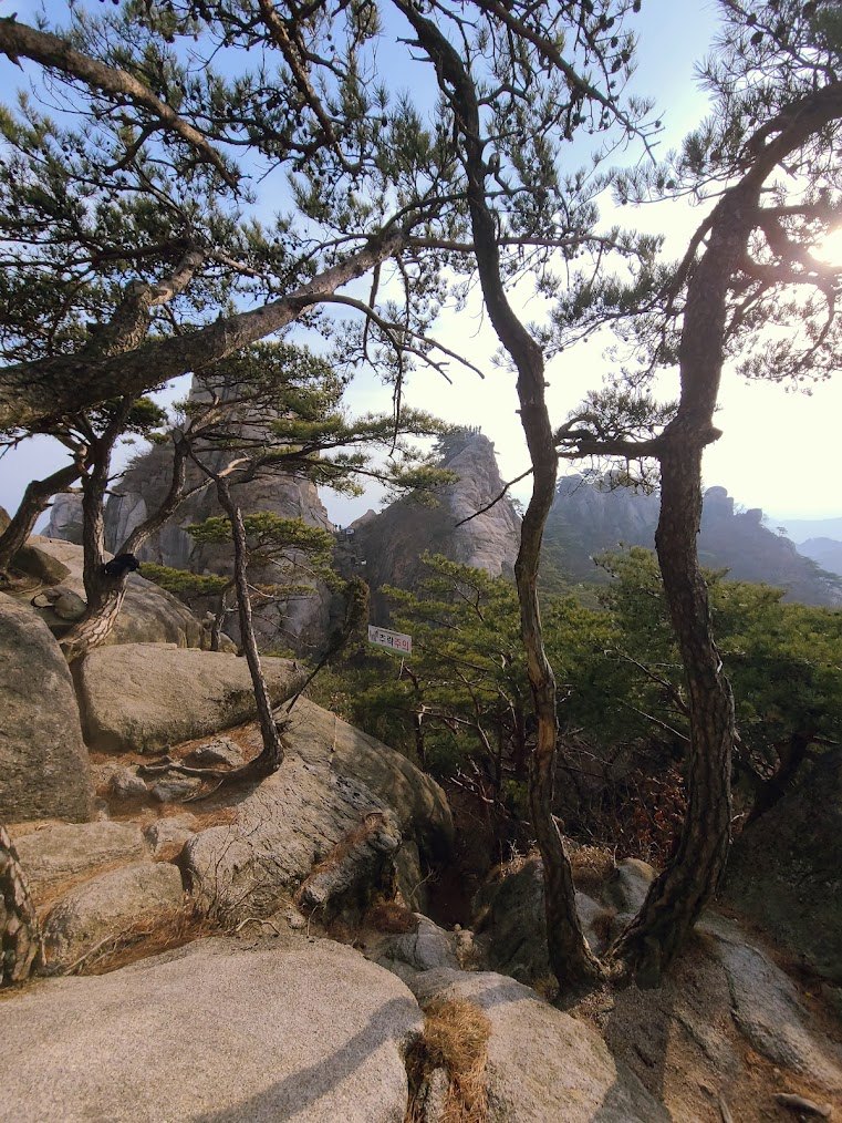 도봉산 y계곡 2-2.jpg