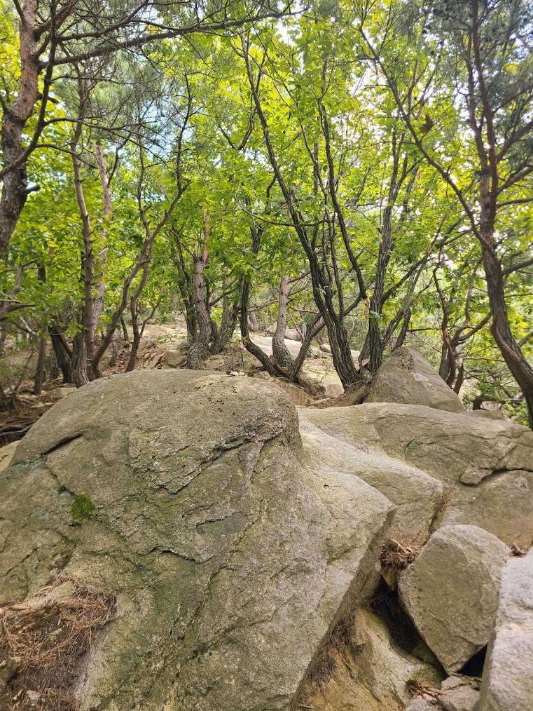 북한산 의상 능선과 고요한 밤의 사찰2.jpg