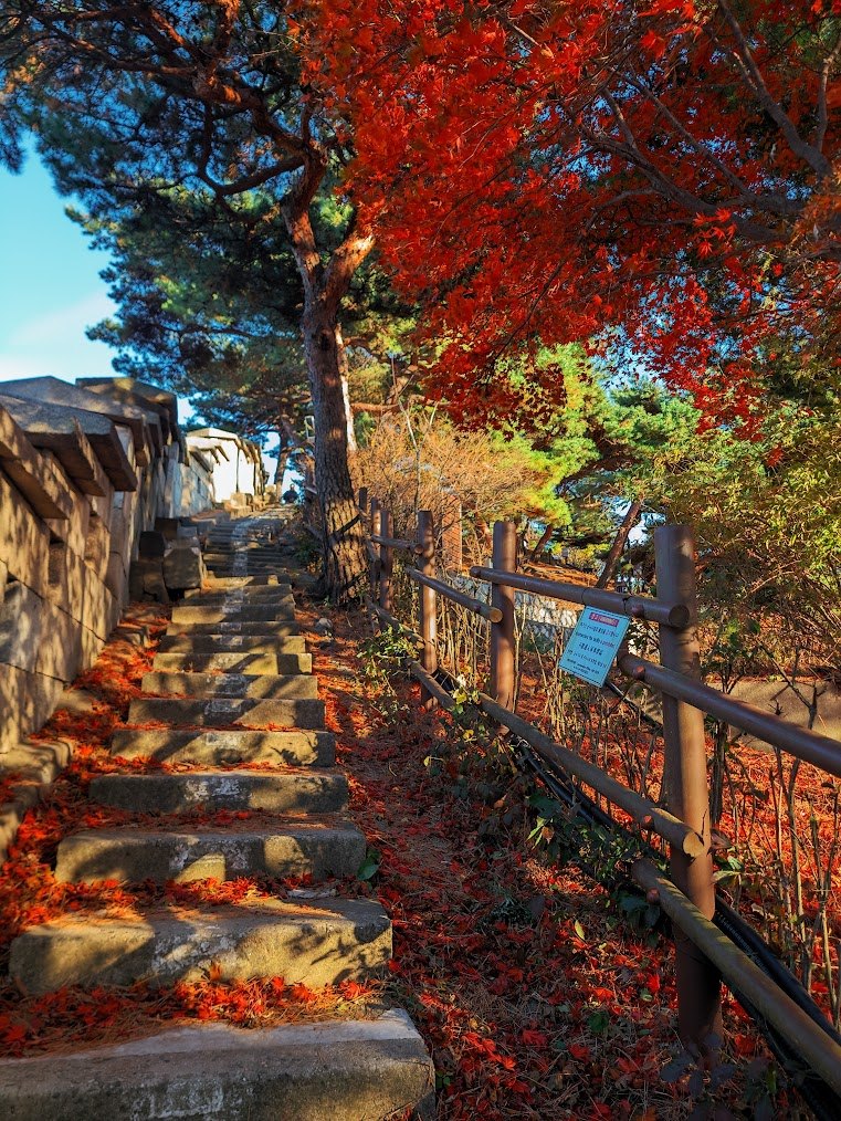 한양도성 순성길 색채 가득한 종주2-5.jpg