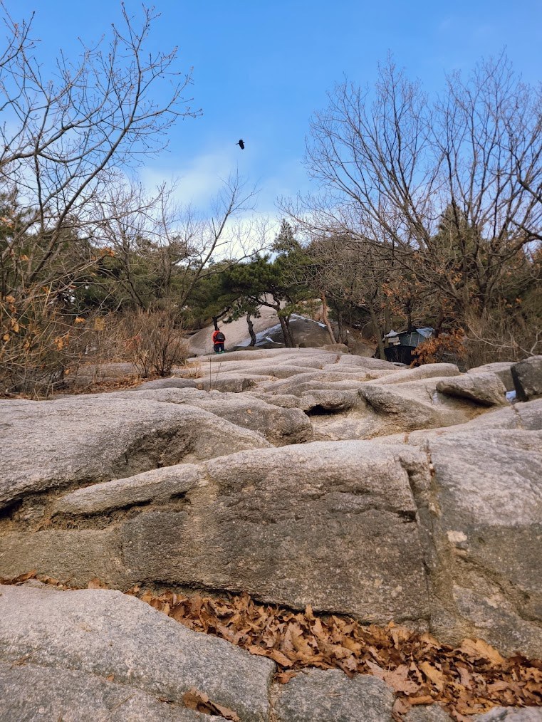 이브에는 불암산2-1.jpg
