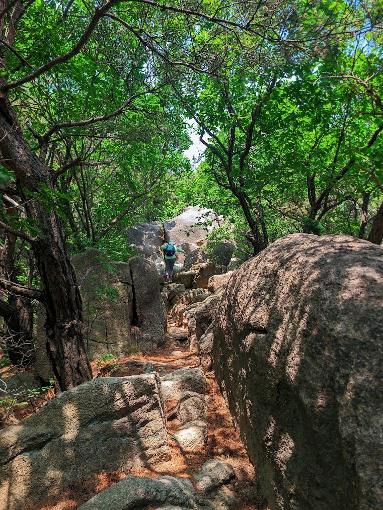 도봉산 다락능선과 가혹한 암릉세상1-1.jpg