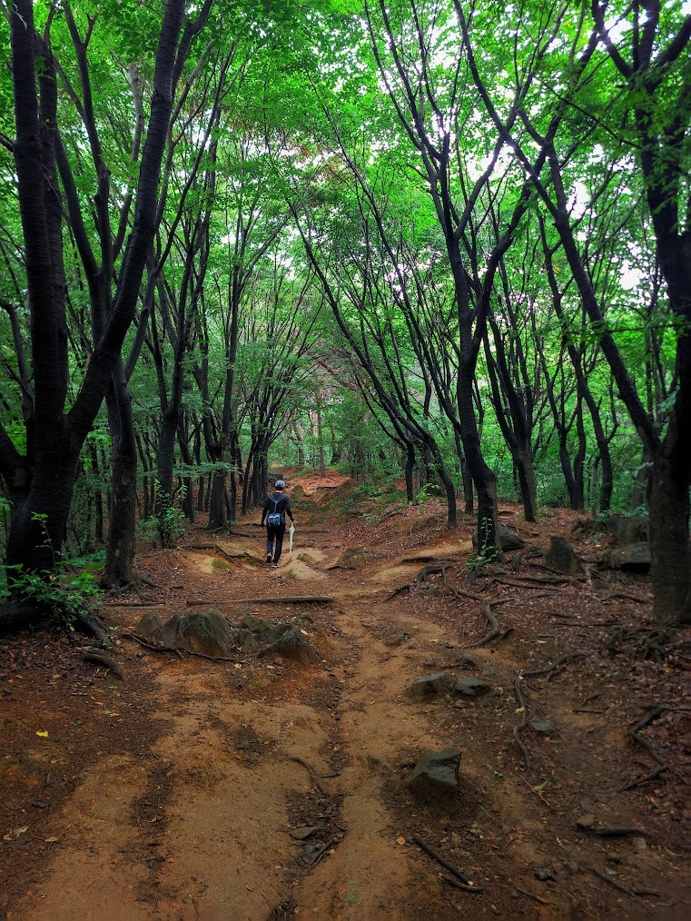 안산과 인왕산의 가깝지만 신나는 길1.jpg