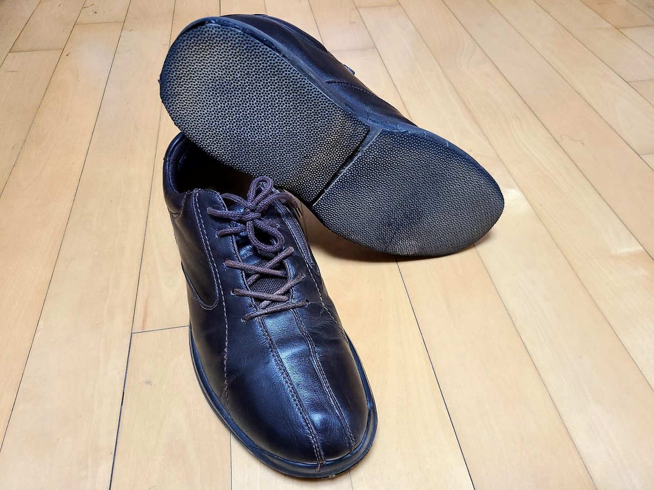 반려 신발.jpg