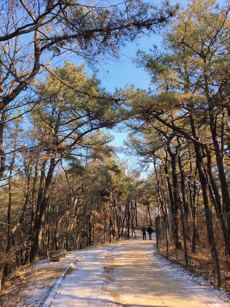 이브에는 불암산1-2.jpg