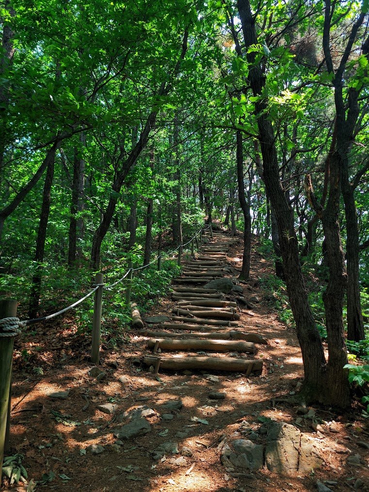 청계산과 무한계단의 고통1.jpg