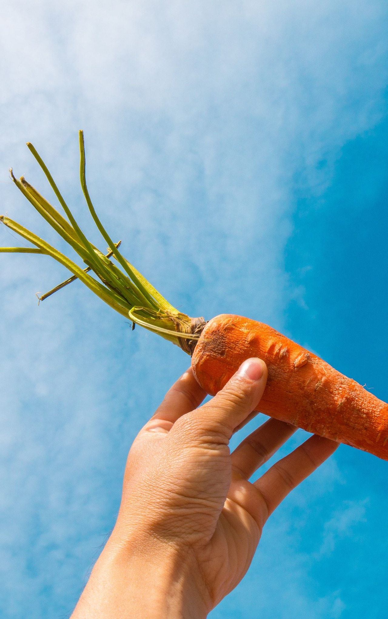 막막한 중고 거래자를 위한 안내서 표지 배경.jpg