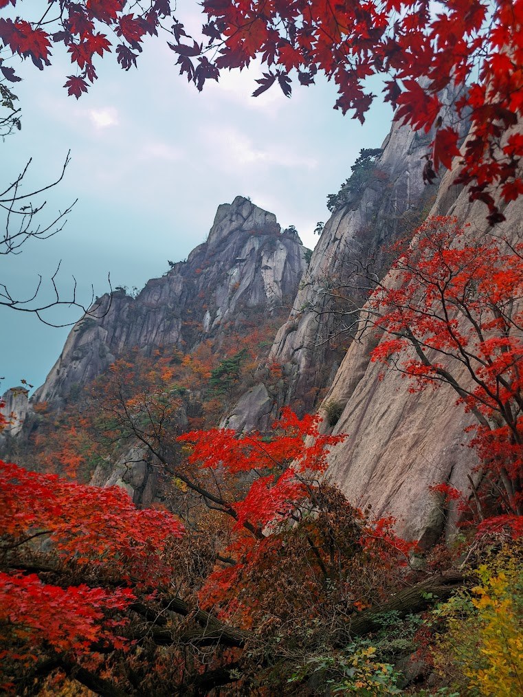 도봉산 만월암의 단풍 계단 2-4.jpg