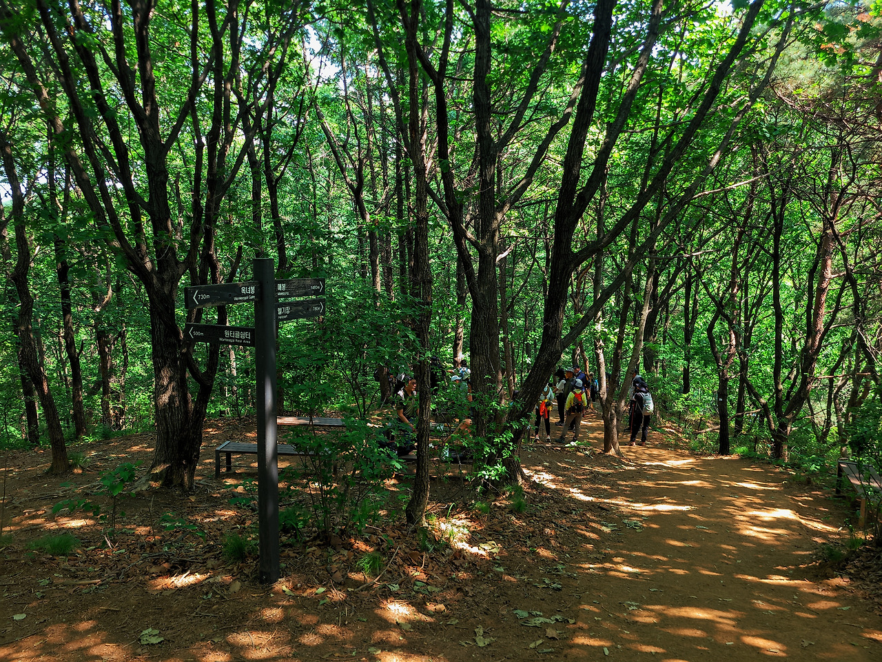 청계산과 무한계단의 고통2.jpg