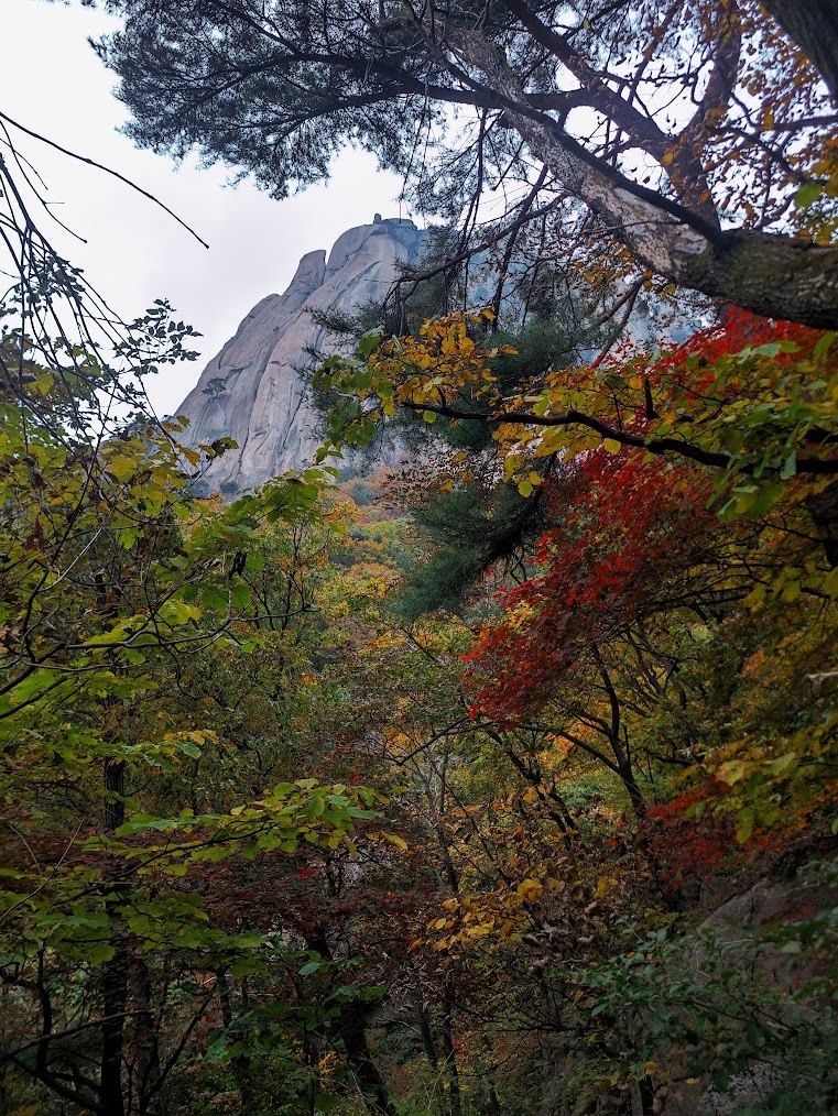 도봉산 만월암의 단풍 계단 1-4.jpg