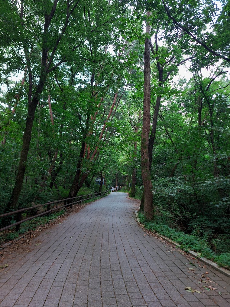 북한산 의상 능선과 고요한 밤의 사찰1.jpg