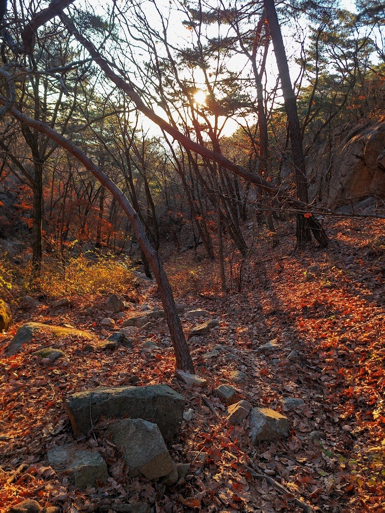 낙엽이 가득한 수락산4.jpg