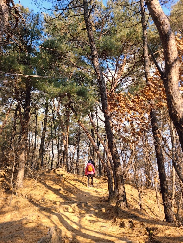 이브에는 불암산1-3.jpg