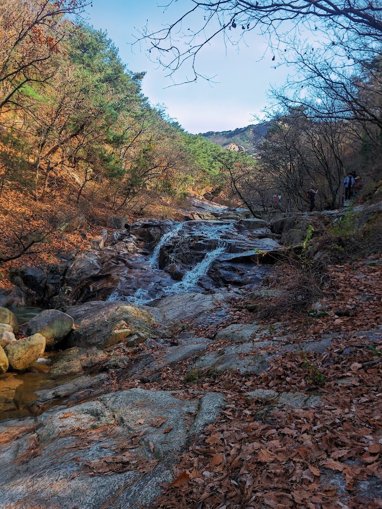 낙엽이 가득한 수락산1.jpg