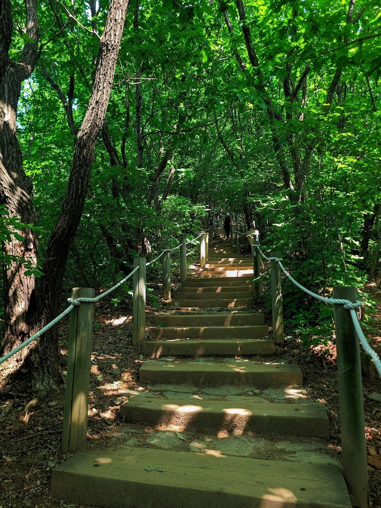 청계산과 무한계단의 고통3.jpg