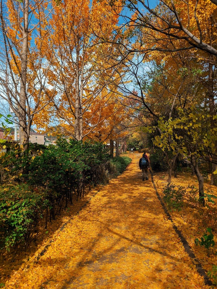 한양도성 순성길 색채 가득한 종주 1-1.jpg