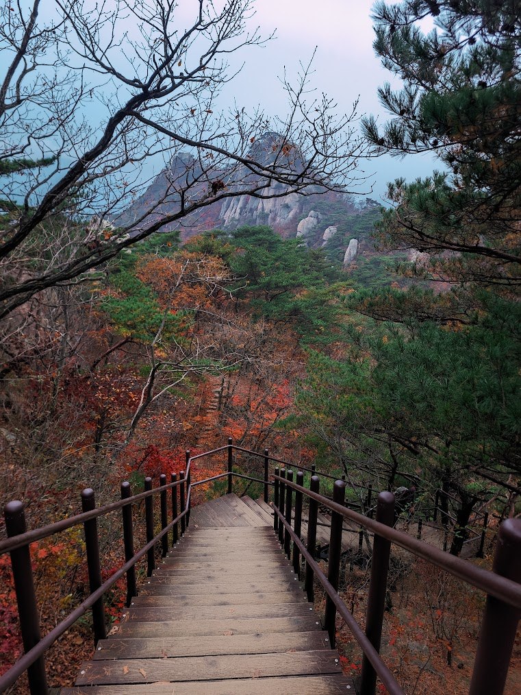 도봉산 만월암의 단풍계단 3-2.jpg