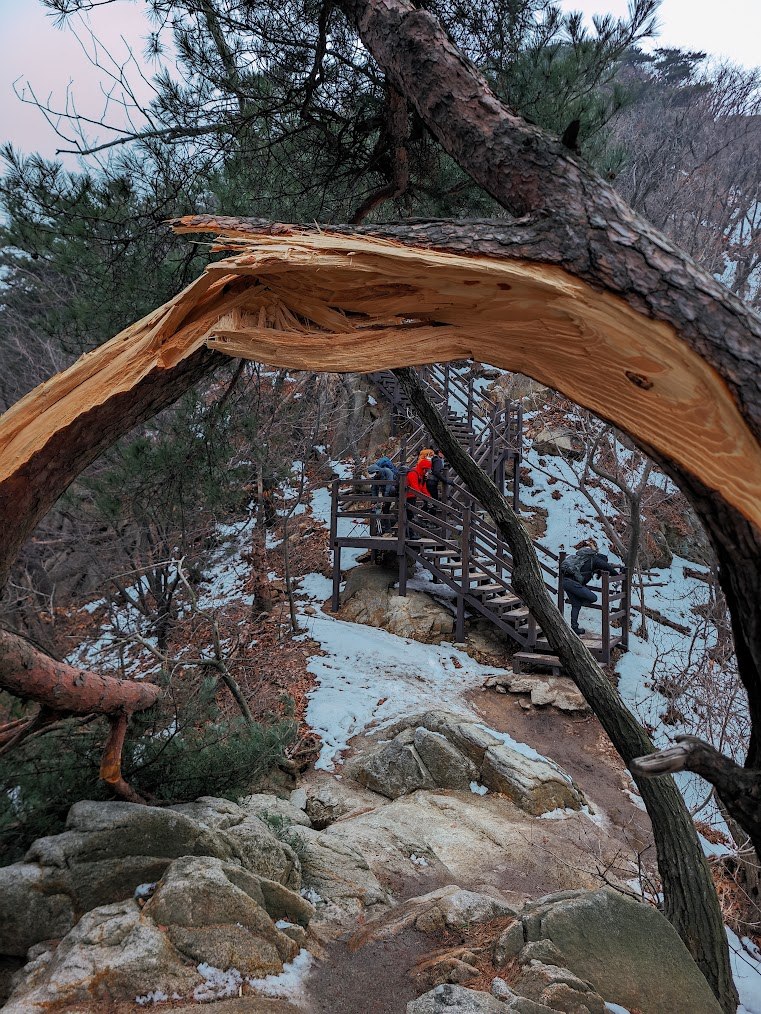 관악산 파이프 능선의 암릉천국 2-2.jpg