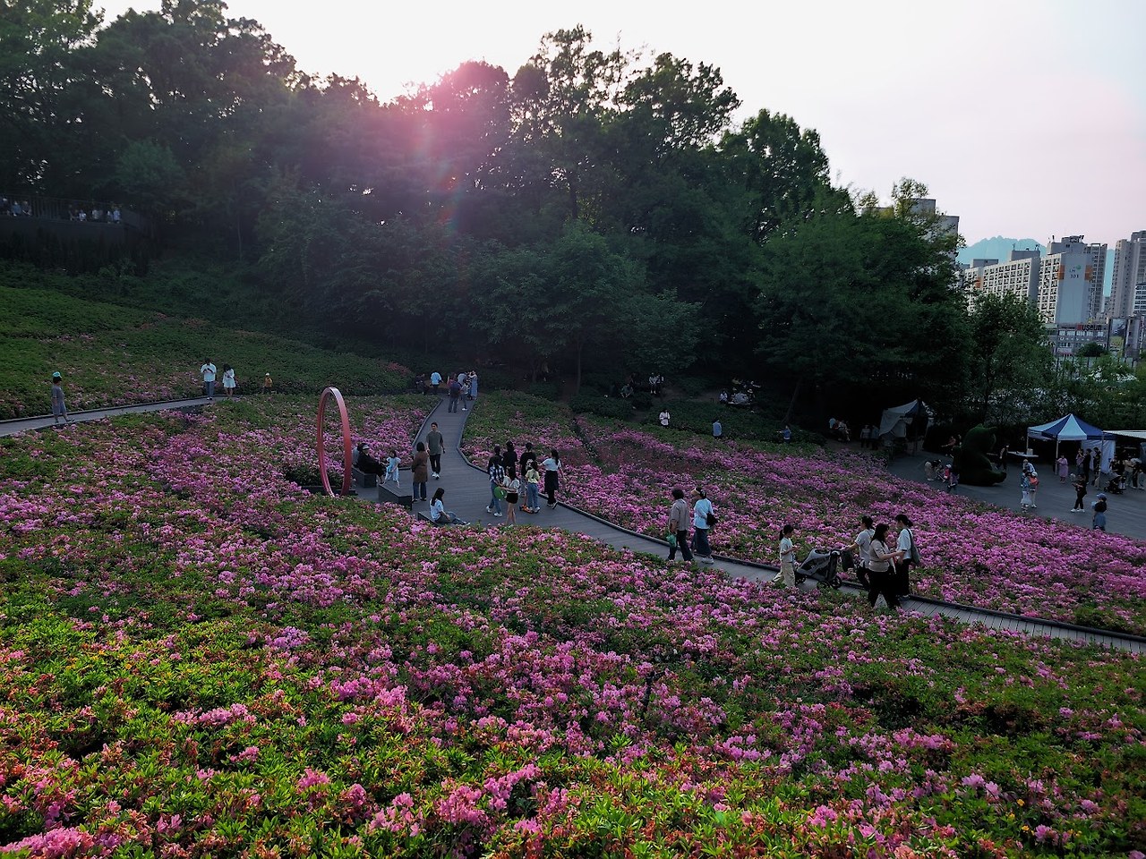 불암산 청암능선의 맑은 초여름11.jpg