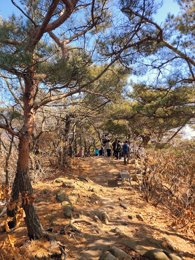 삼성산의 소박하지만 1-2.jpg