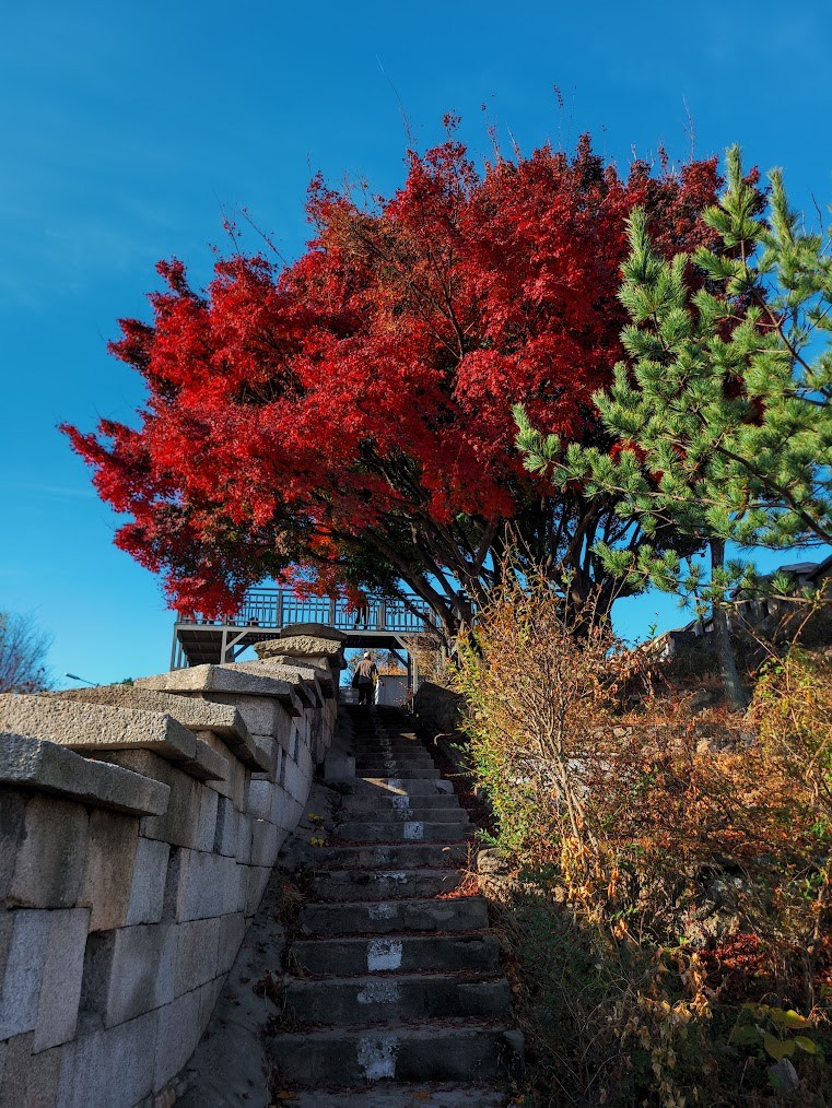 한양도성 순성길 색채 가득한 종주2-2.jpg