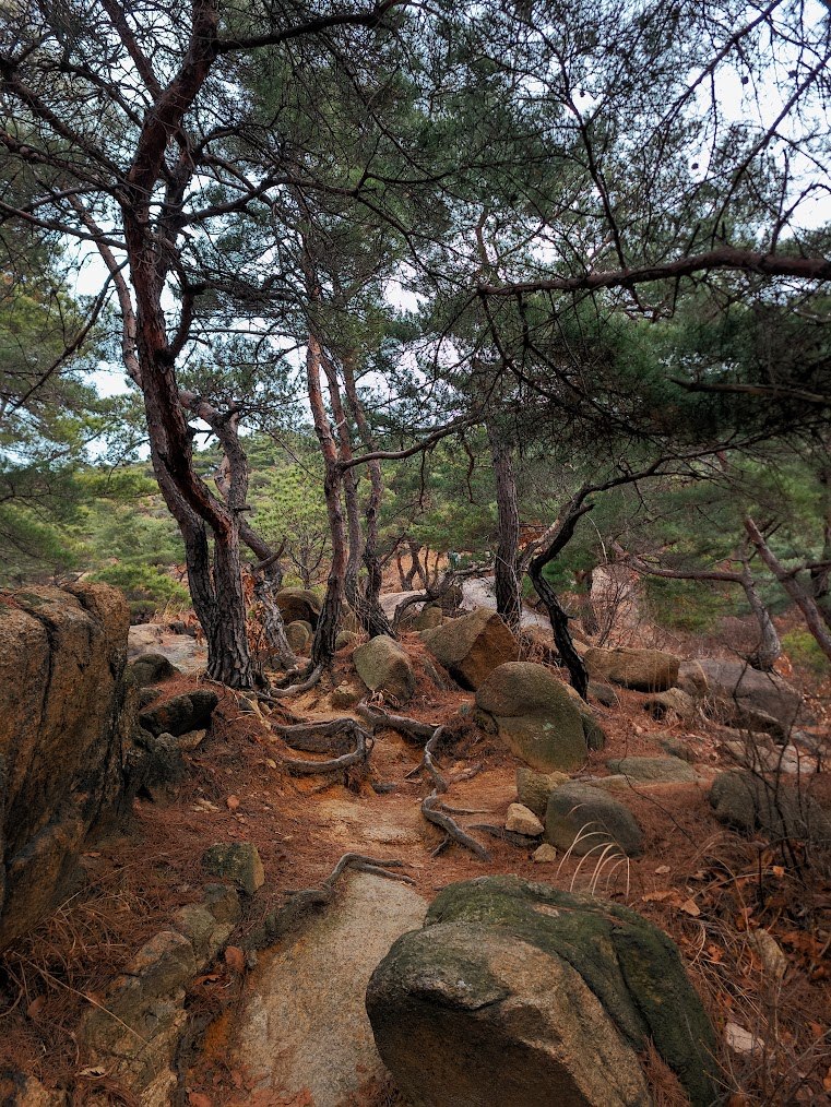 북한산 비봉능선 1-1.jpg