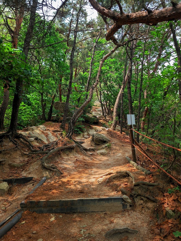 사패산 도봉산 연계산행의 지독한 맛1-2.jpg